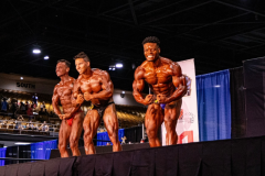 Untitled design - 26